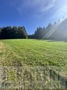 Landwirtschaftliches Grundst�ck Acker-/Gr�nland in B�rnau - OT Altglash�tte