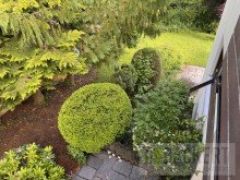 Seitliche Terrasse und Bepflanzung Gro�es Wohnhaus mit Einliegerwohnung und tollem Garten in BT-Oberpreuschwitz!