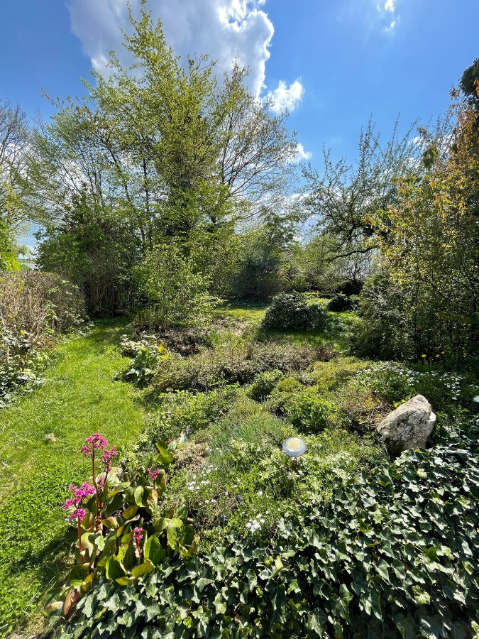 Gartenbereich mit Teich Einfamilienhaus Stammbach
