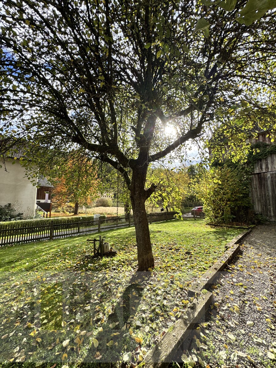 Vorderer Gartenbereich Landhaus Wonsees / Schirradorf