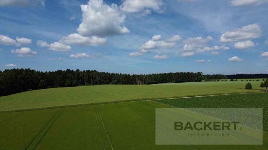 angrenzende Landwirtschaftsfl�chen Bungalow Hollfeld / Kr�gelstein