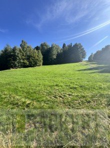 Landwirtschaftliches Grundst�ck Acker-/Gr�nland in B�rnau - OT Altglash�tte