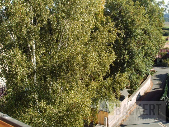 Blick vom Balkon Dachgeschosswohnung Mainleus / Hornschuchshausen