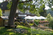 Biergarten Etabliertes Gasthaus mit Fremdenzimmern, Nebengeb�ude und viel Grund sucht Wirtsleute!