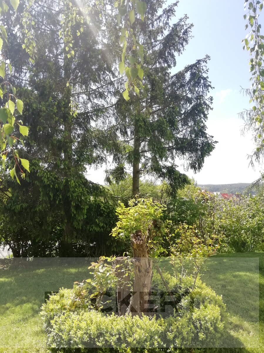 Garten Bungalow Mainleus / Schmeilsdorf