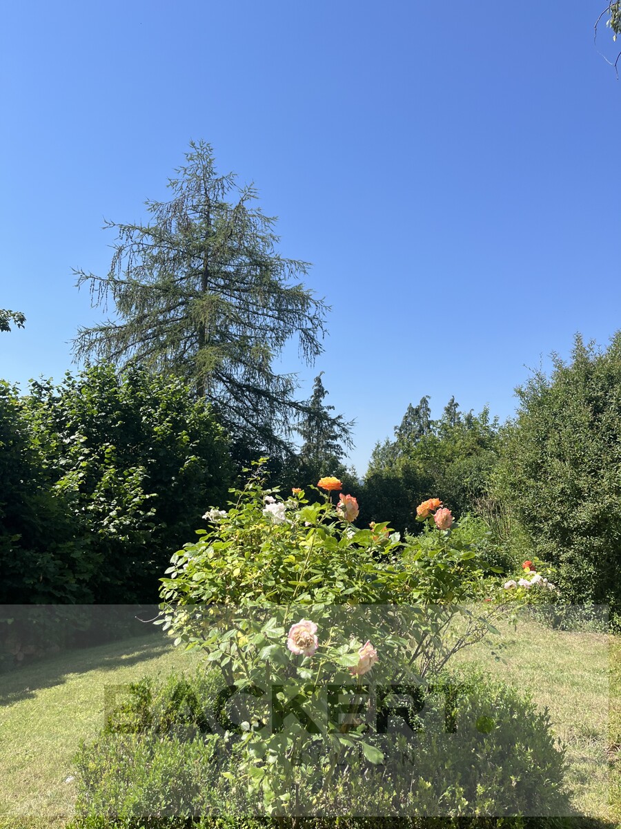 Garten Bungalow Mainleus / Schmeilsdorf