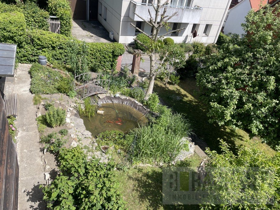 Gartenbereich mit Teich Mehrfamilienhaus Hersbruck