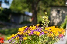 Impressionen Etabliertes Gasthaus mit Fremdenzimmern, Nebengeb�ude und viel Grund sucht Wirtsleute!