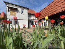 Biergarten Geschichtstr�chtiges Ausflugslokal mit Wohnung und
Fremdenzimmern im Herzen von Ruhla.