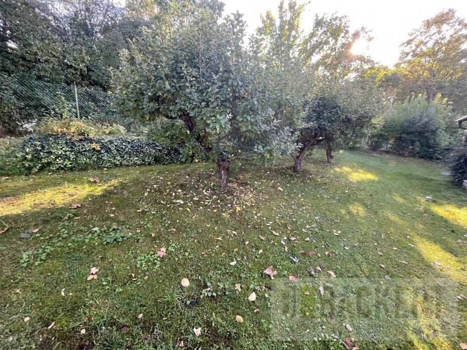 Gartenbereich Zweifamilienhaus Weismain