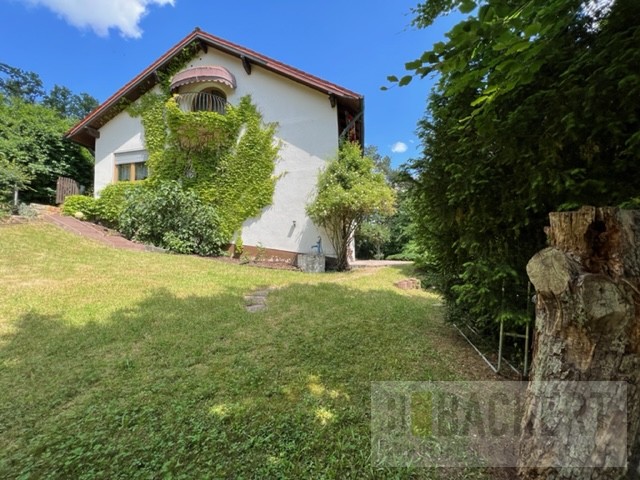 Seitenansicht Gartenseite Einfamilienhaus Kulmbach