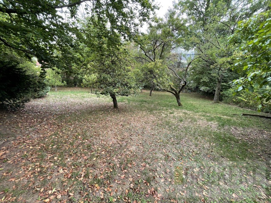 Garten Einfamilienhaus Kulmbach