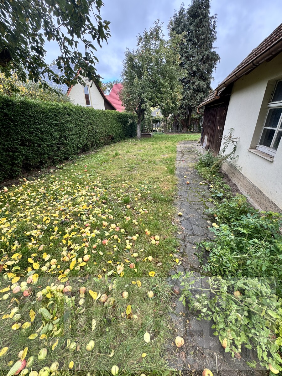 Gartenbereich Einfamilienhaus Neudrossenfeld / Langenstadt