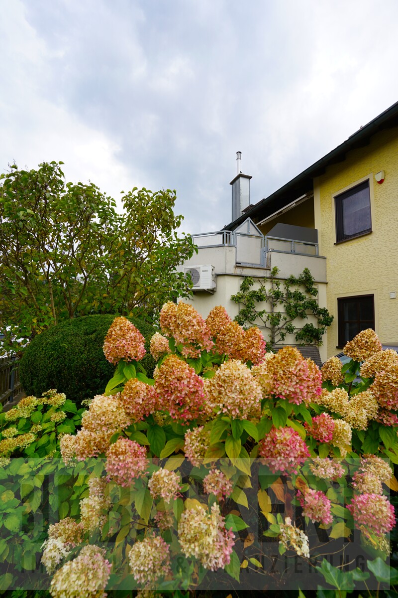 Gartenbereich Einfamilienhaus Waldsassen